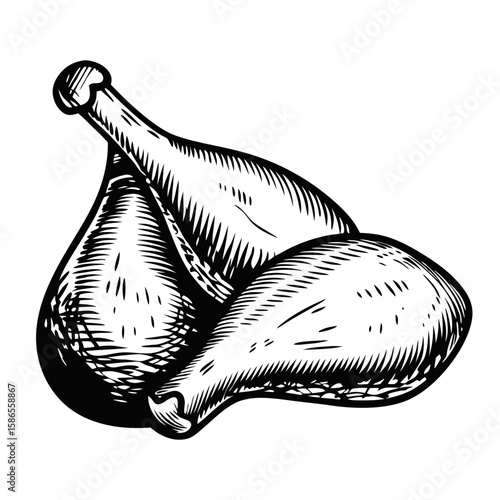 Illustration showcases delicious duck leg confit, classic french dish, elegantly drawn with vintage style. Duck leg confit captures rich culinary heritage and authentic taste,