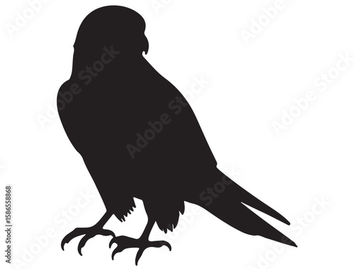 KESTREL BIRD SILHOUETTE