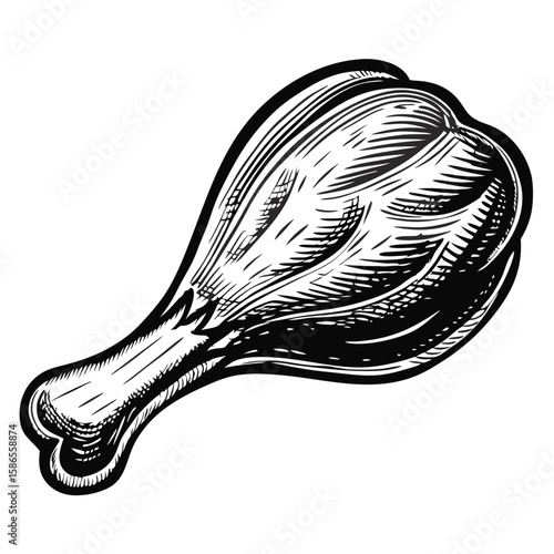 Showing confit de canard, traditional duck leg preparation with engraved style, detailed vector drawing of roasted poultry.