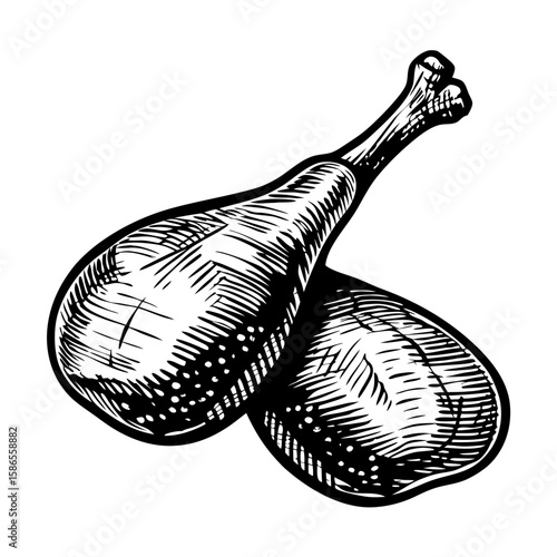 Duck leg confit with vintage sketch style, food design element. Delicious duck leg confit, classic dish of French cuisine for sophisticated gourmet and foodie.