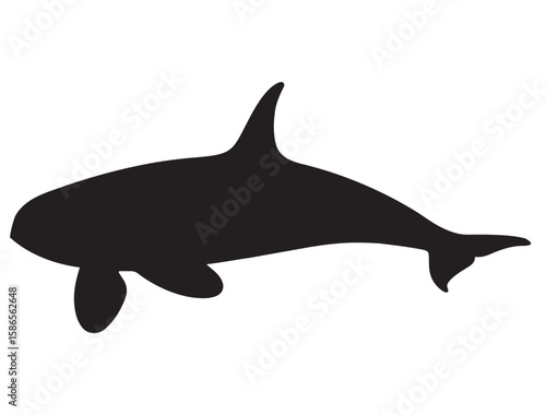 KILLER WHALE SILHOUETTE