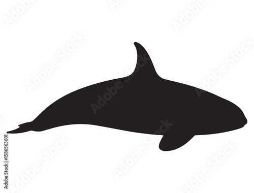 KILLER WHALE SILHOUETTE