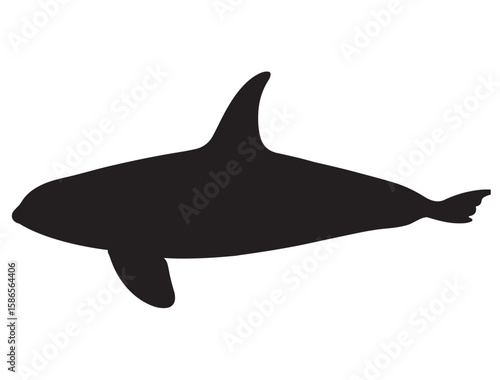 KILLER WHALE SILHOUETTE
