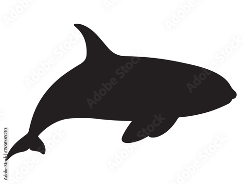 KILLER WHALE SILHOUETTE