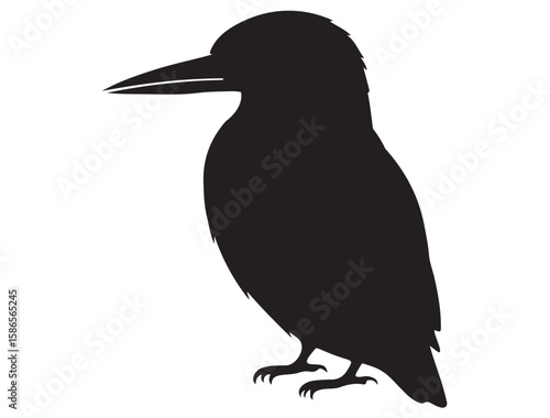 KINGFISHER SILHOUETTE