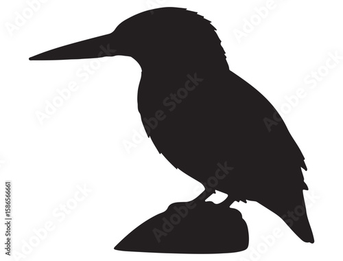 KINGFISHER SILHOUETTE