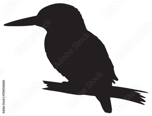 KINGFISHER SILHOUETTE