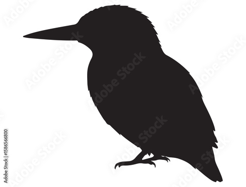 KINGFISHER SILHOUETTE