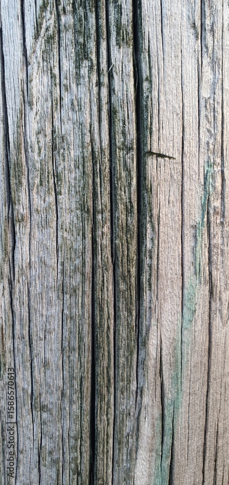 Fototapeta premium urban decay concepts, and material texture references