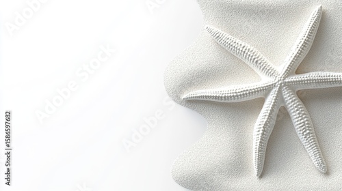 White starfish on textured white sand