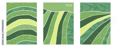 Rural landscape vineyard illustration with abstract background, eco farmland texture, nature pattern, corn field, green grape design, agro art, poster, collage, flat view, organic tea vector layout