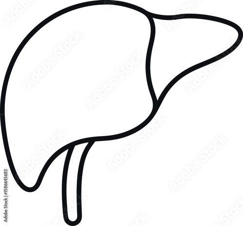 Black and White Line Drawing of Human Liver with Gallbladder Anatomy