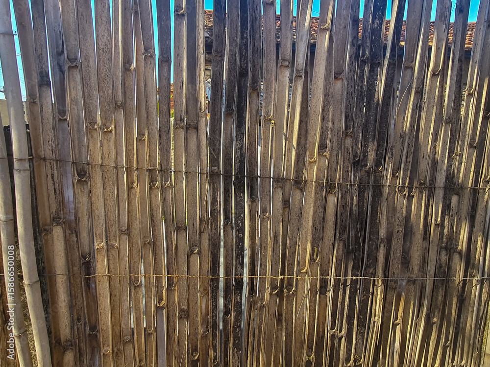 Obraz premium Rustic handmade bamboo fence.
