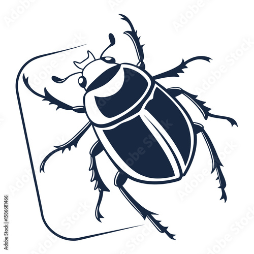 black beetle isolated on white