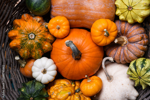 Wallpaper Mural Close-up of assorted pumpkins in various shapes and autumn colors. Seasonal display perfect for fall harvest, Thanksgiving table, or Halloween background Torontodigital.ca