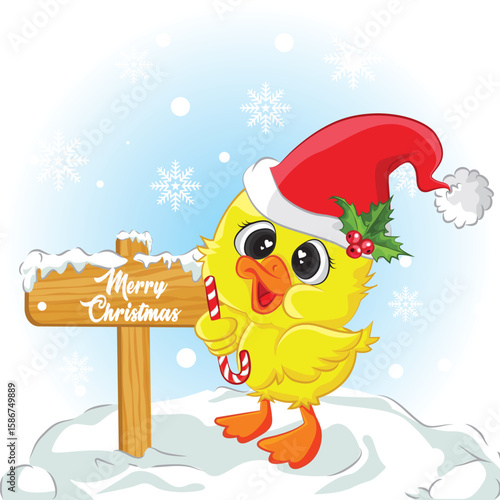 Duck stand on snow with candy background. merry christmas background illustration.