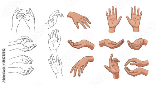 Assorted Hand Gestures A Collection of Diverse Hand Poses for Artists and Designers, featuring expressive arm movements and anatomical detail.