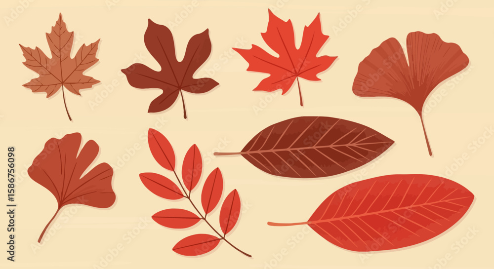 Obraz premium Autumn Leaves Collection Diverse Foliage Set for Fall Designs and Seasonal Projects