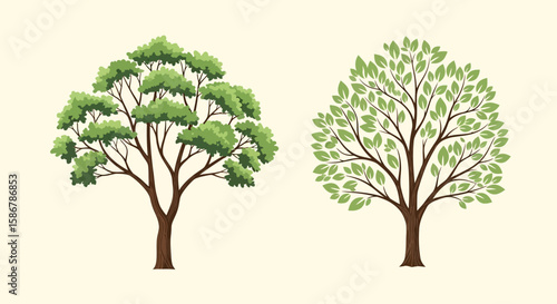 Two Stylized Green Trees Illustration