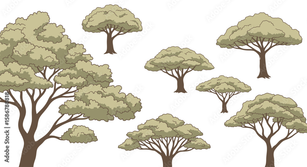 Fototapeta premium African Savanna Acacia Trees Illustration Set