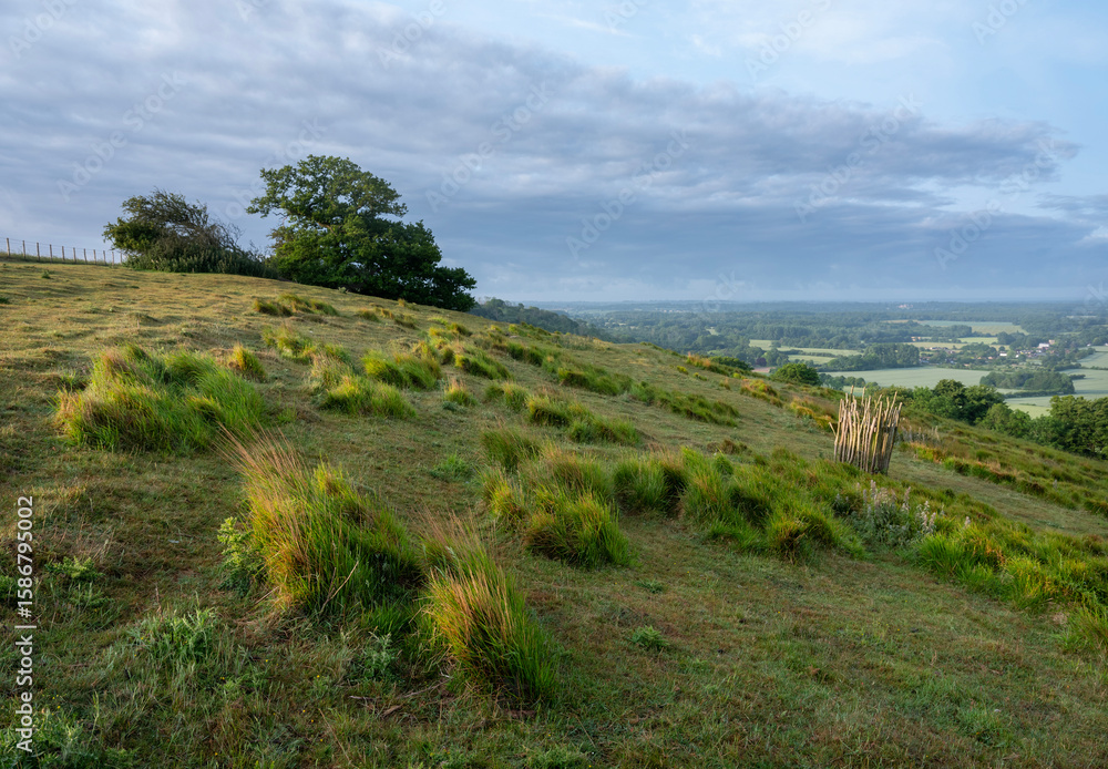 landscape of north downs near ashford and wye valley in english county of kent on early summer morning landscape of north downs near ashford and wye valley in english county of kent on early summer morning