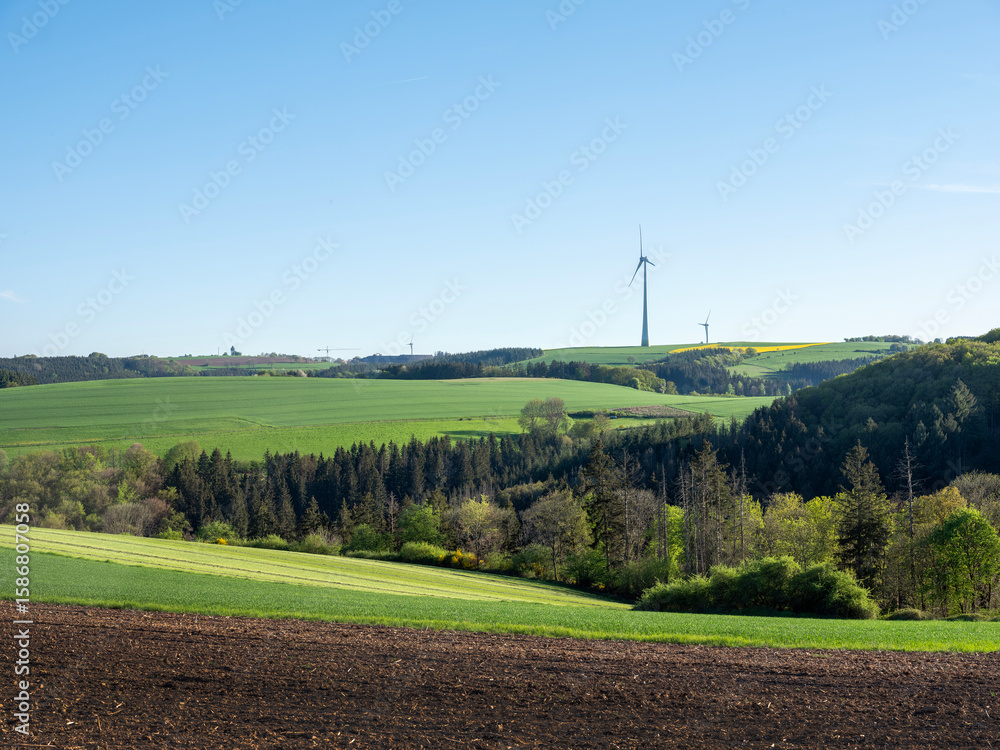 Fototapeta premium countryside landscape in luxemburg with wind turbine under blue sky in spring