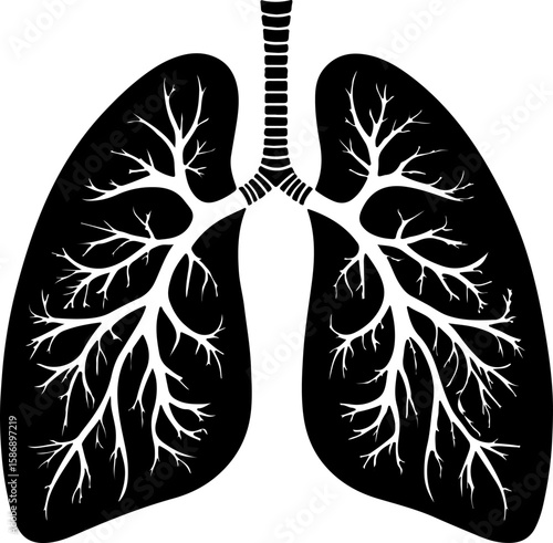 Silhouette of human throat and esophagus