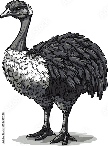 fullshot_of_a_ostrich_icon_the_background_color_should_be_whi