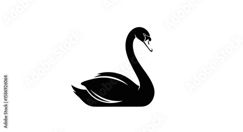 Vector black swan vector illustration elegant swan silhouette swan drawing water bird swan art swan design swan icon image