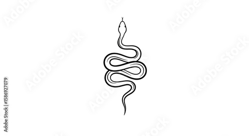 Vector snake outline illustration vector drawing of a reptile serpent design for tattoo art and graphic design use
