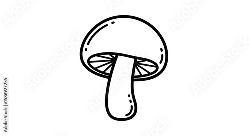 Vector mushroom drawing vector illustration of edible fungus for cooking and nature related designs and graphics