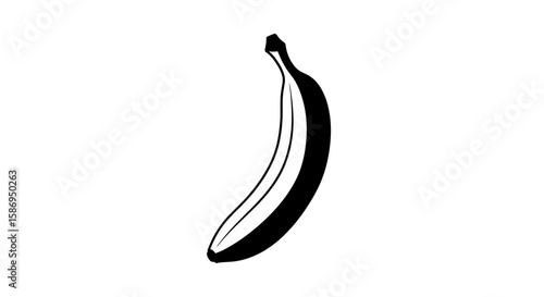 Vector download this high quality banana vector illustration for free use in your next design project today