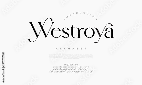 Elegant, flowing serif font with delicate curves, ideal for luxury branding and editorials