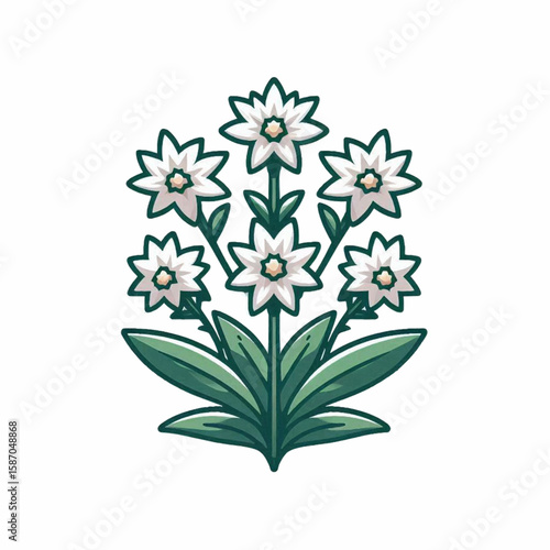 Seven edelweiss flowers white petals darkgreen leaves stylized art style