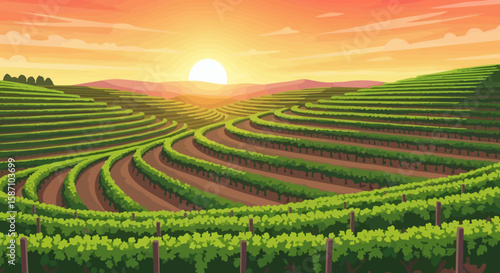 A picturesque vineyard on rolling hills with terraced rows of grapevines at sunset