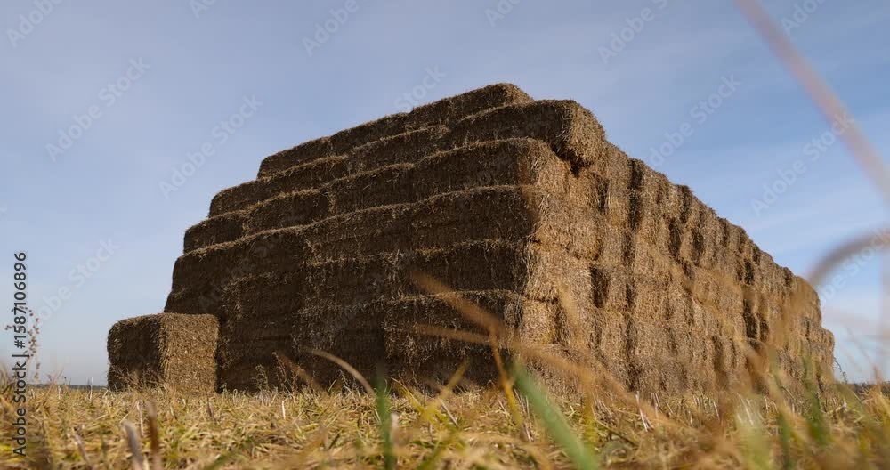 rectangular stacks of straw stacked together for long-term storage ...