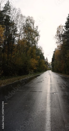 Wallpaper Mural a small paved road in autumn is wet after rain, a rural road in the forest in cloudy weather after rain Torontodigital.ca