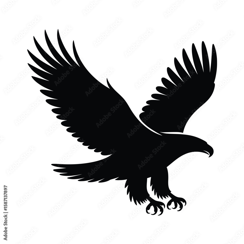Obraz premium Silhouette of a majestic eagle in flight with wings spread wide