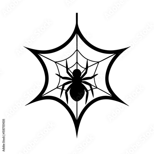 Photography Spider on a stylized spiderweb Halloween arachnid