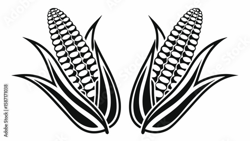 Two stylized corn cobs with leaves kernels stalks