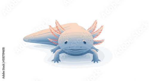 A charming illustration of an axolotl, a pale blue amphibian with delicate pink gills, shown from a slightly elevated perspective against a white background.