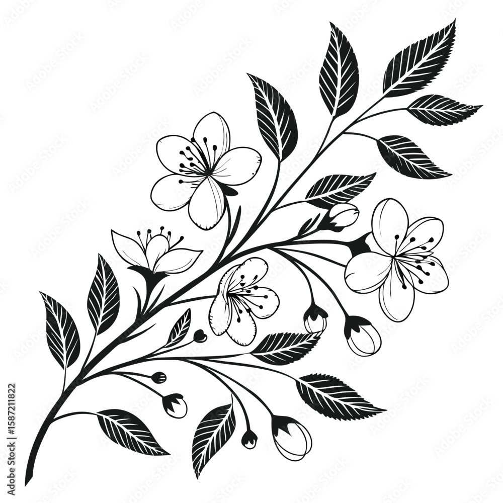Fototapeta premium Ornate black and white blossom branch
