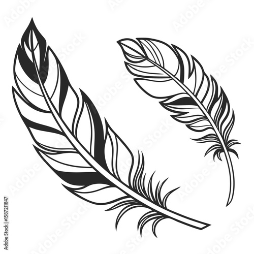 Ornate black and white feathers design