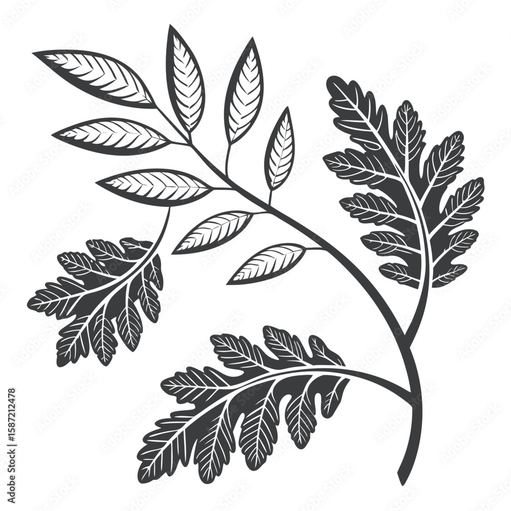 Obraz premium Ornate plant branch illustration