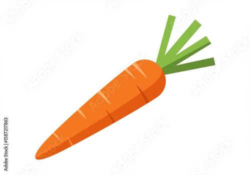 A single bright orange carrot with green leafy tops on a white background