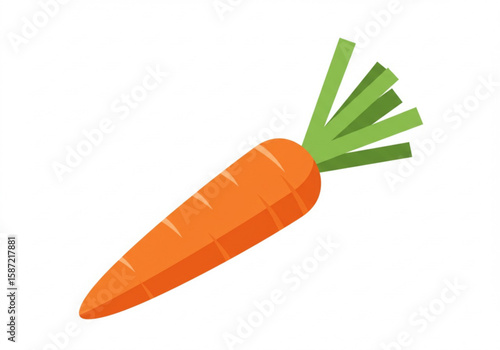 A single vibrant orange carrot with green leafy tops isolated on a white background