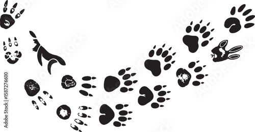 Animal paw prints and tracks in black and white animal tracks wildlife