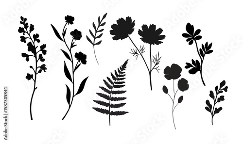 black and white silhouettes of flowers, leaves, and wildflower