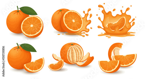 Orange Fruit Vector Set: Fresh, Juicy, and Vibrant