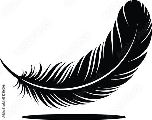 A single black feather with intricate details floating above a small shadow line